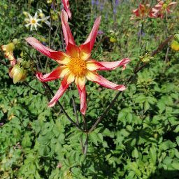 Photo de Profil de Christopher